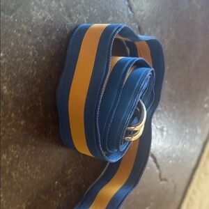 J. Crew Blue and Yellow D-Ring Webbing Belt